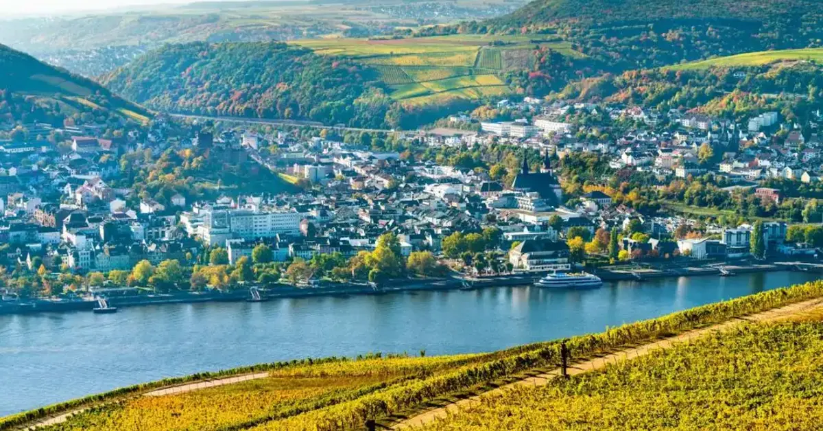 Bingen