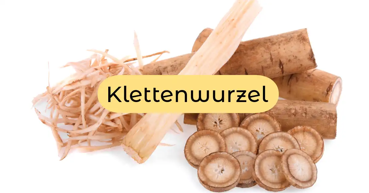 Klettenwurzel